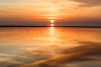 Zonsondergang aan de Noordzeekust