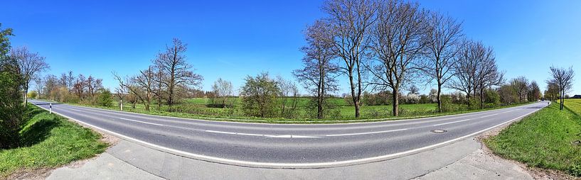 Panorama of a beautiful north german landscape with paths and roads by MPfoto71
