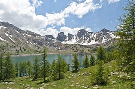 Provence Lac D Allos nature reserve Parc National Du Mercantour
