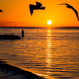 Coucher de soleil dans la mer sur Eline Oostingh