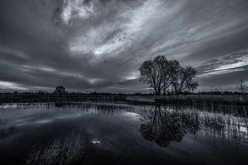 De Groene Grens 2/2 (Zwart/Wit)