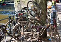 In the Amsterdam canals