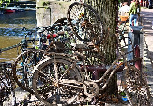 In the Amsterdam canals