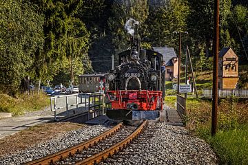 Dampflokomotive der Pressnitztalbahn 991568-7 von Rob Boon