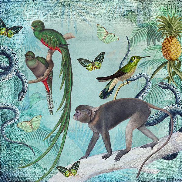 Les amis de la jungle par Andrea Haase