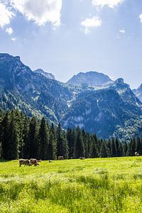 Voralpsee