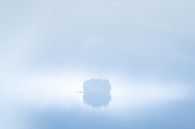 Île dans l'épais brouillard d'un fjord en Norvège par Bas Meelker Aperçu