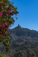 De majestueuze Roque Nublo doemt op boven de Barranco De Tejeda