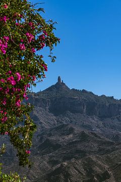 De majestueuze Roque Nublo doemt op boven de Barranco De Tejeda van Peter Baier