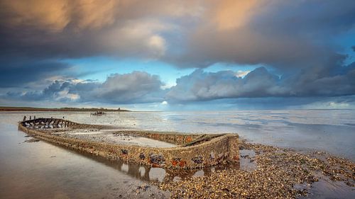 Wrack von Wierum Friesland Wattenmeer
