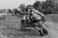 Horse drive van Wessel Krul thumbnail