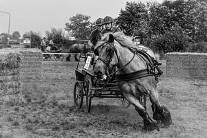 Horse drive van Wessel Krul