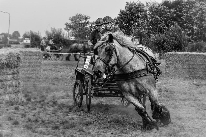 Horse drive van Wessel Krul