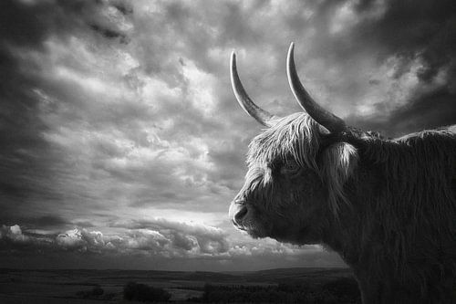  die Highlands von Holger Droste
