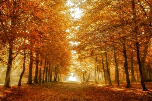 Full Fall