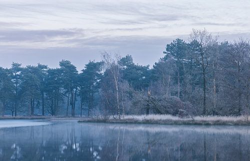 Naturschutzgebiet Nationalpark Dwingelderveld (Drenthe) - Niederlande