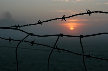 Zonsopkomst in de polder