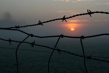 Zonsopkomst in de polder van Dennis Claessens