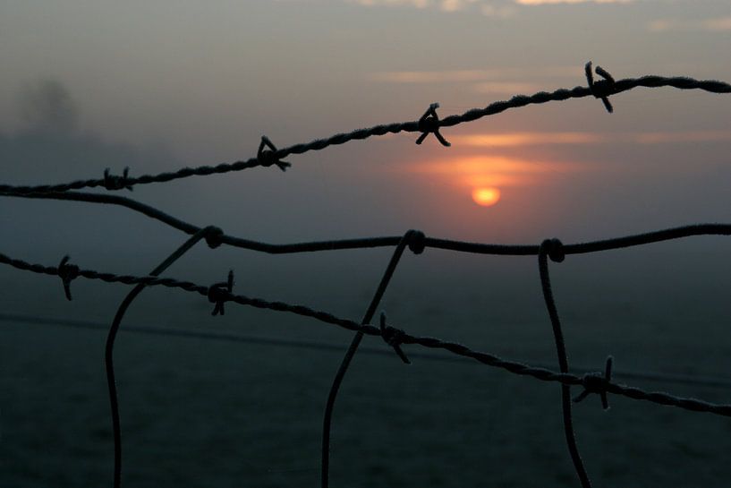 Zonsopkomst in de polder von Dennis Claessens