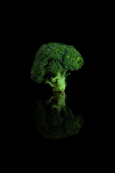 Broccoli #1 by Vovk Serg