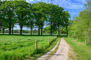 Springtime landscape at the Eese estate nature area