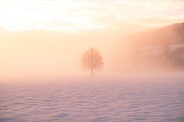 Westendorf in the mist von Thomas Bartelds