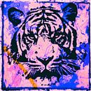 Tijger - Splash Pop Art PUR - 3 kleuren - Deel 3 van Team W 32 Gallery thumbnail