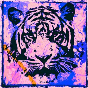 Tiger - Splash Pop Art PUR - 3 Colours - Part 3 sur Felix von Altersheim