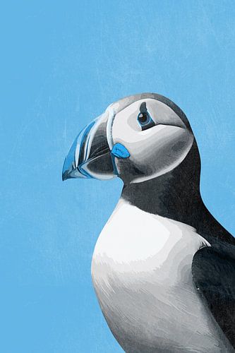 Puffin in Blue