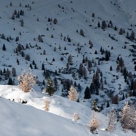 Magical winter atmosphere in the mountains by Anselm Ziegler Photography