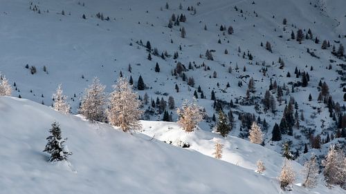 Magische wintersfeer in de bergen