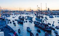 Sail Amsterdam