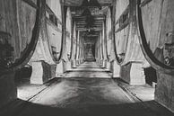 authentic wine cellar with old wine barrels by eric van der eijk thumbnail
