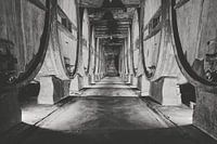 authentic wine cellar with old wine barrels