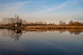 Reste sur mavafotografie