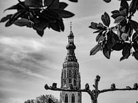 Breda - Nederland