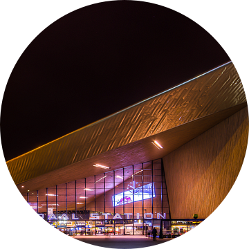 Rotterdam Centraal Station Nacht  van Evert Buitendijk