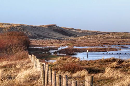 View of the dunes.