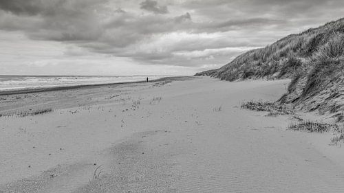 Plage abandonnée