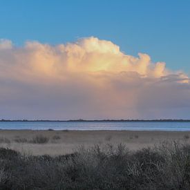 Grevelingenmeer van Marloes van der Beek-Rietveld