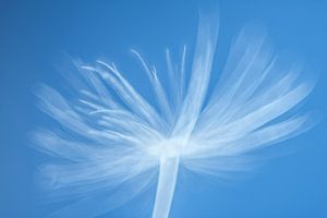 Symphonie de l'imperfection