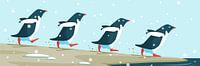 Pinguïns op een besneeuwd strand