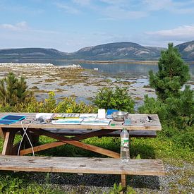 Cornelie de Haan Profile picture