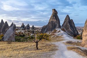 Un paysage bizarre