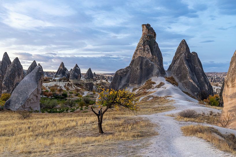 Bizarre Landschaft von Tilo Grellmann