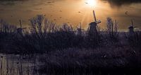 Kinderdijk
