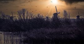 Kinderdijk van Jeroen Wormgoor