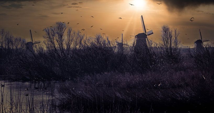 Kinderdijk by Jeroen Wormgoor