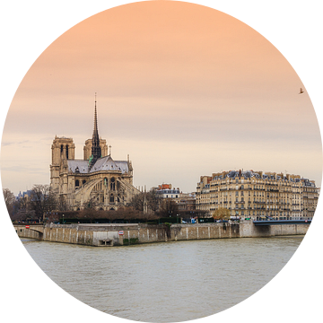 Notre-Dame Parijs aan de Seine van Dennis van de Water