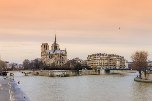 Notre-Dame Parijs aan de Seine